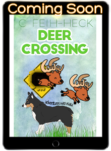 deer crossing